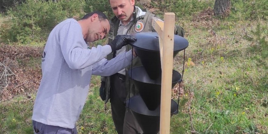 Orman zararlılarına karşı biyoteknik mücadele