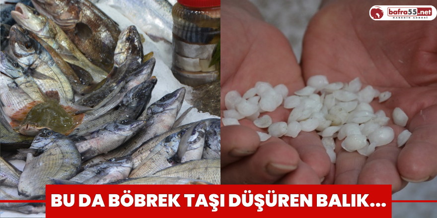 Bu da böbrek taşı düşüren balık...