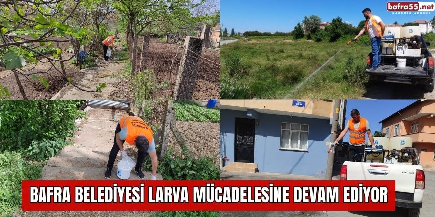 BAFRA BELEDİYESİ LARVA MÜCADELESİNE DEVAM EDİYOR