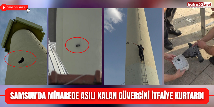 Samsun'da minarede asılı kalan güvercini itfaiye kurtardı
