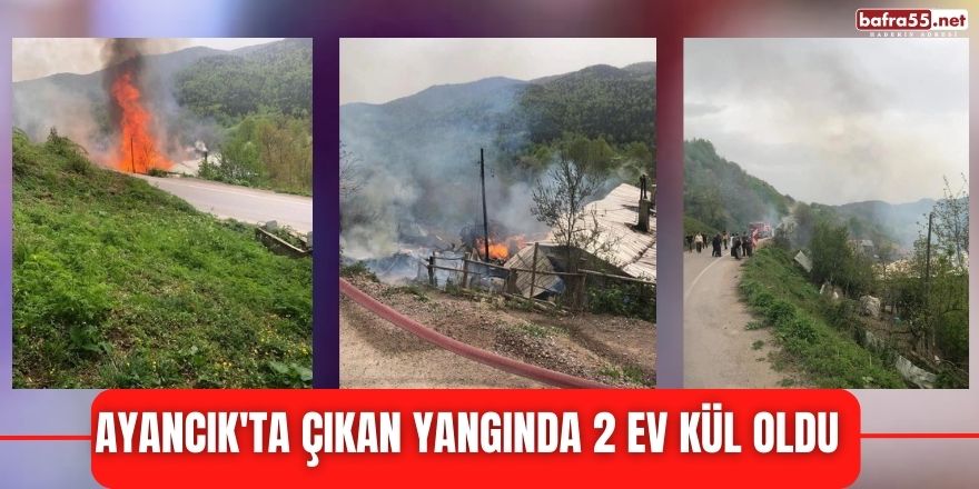 Ayancık'ta çıkan yangında 2 ev kül oldu