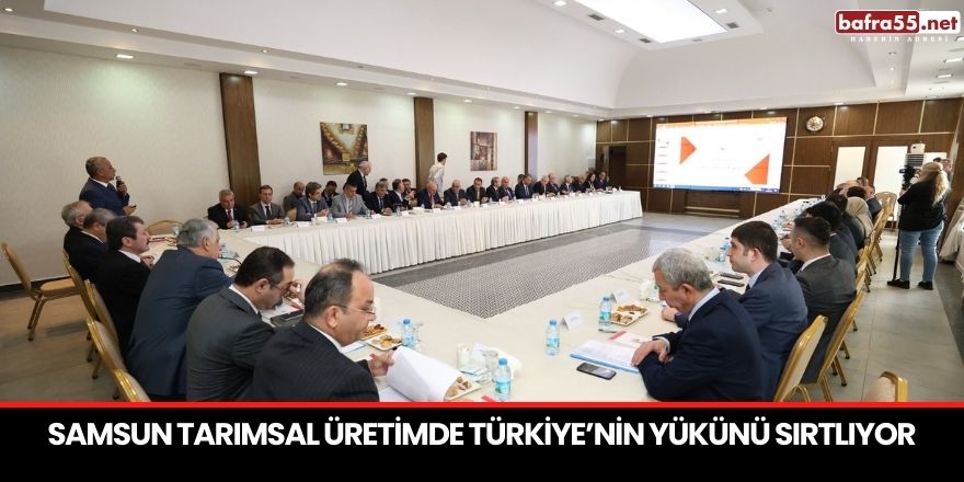 Samsun tarımsal üretimde Türkiye’nin yükünü sırtlıyor