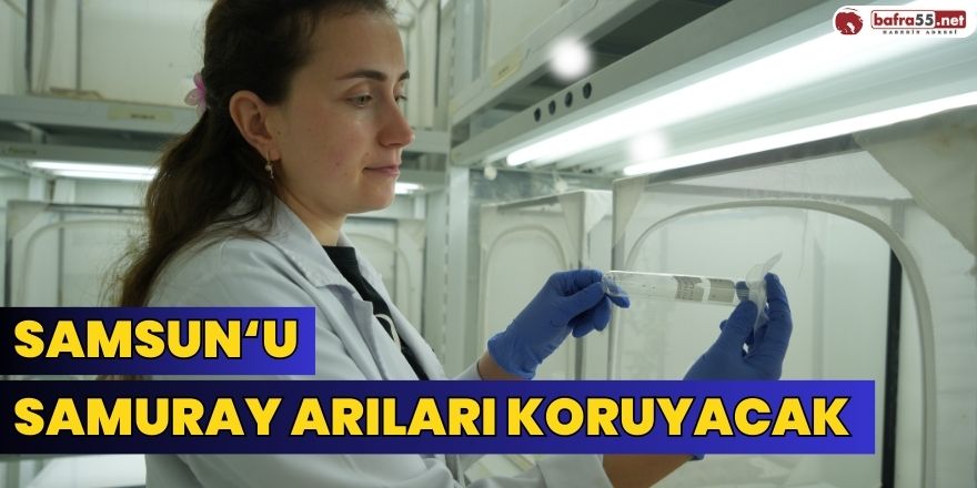 Samsun'u Samuray Arıları Koruyacak