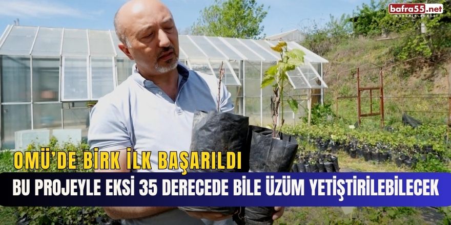 Bu Projeyle Eksi 35 Derecede Üzüm Yetiştirilebilecek