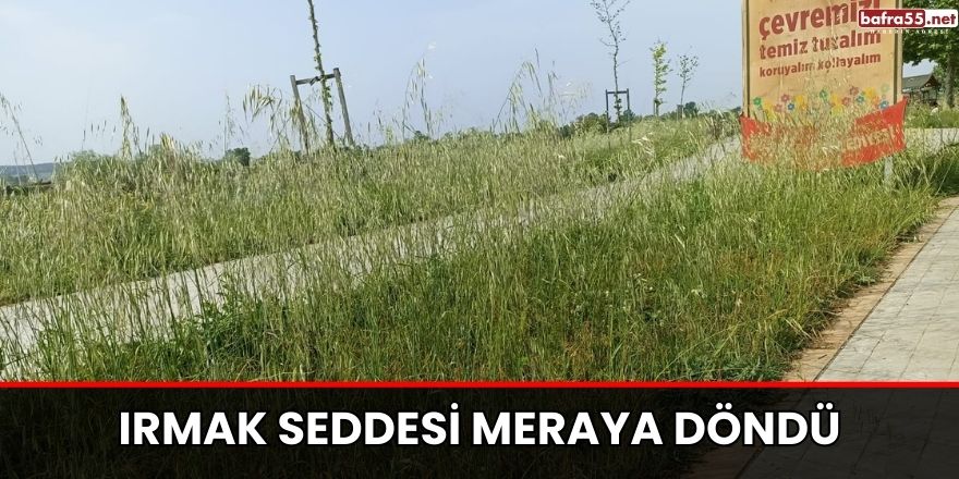 Irmak Seddesi meraya döndü