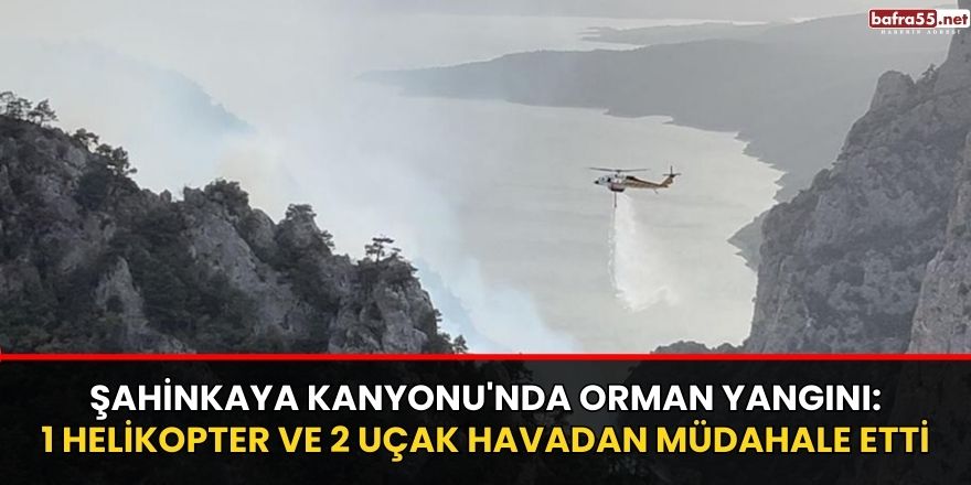 Şahinkaya Kanyonu'nda orman yangını: 1 helikopter ve 2 uçak havadan müdahale etti