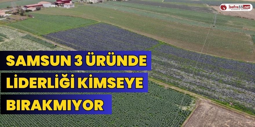 Samsun 3 Üründe Liderliği Kimseye Bırakmıyor