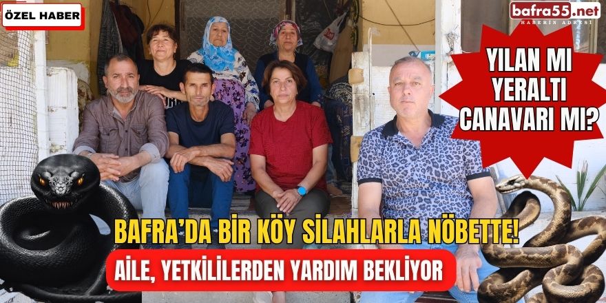 77 ilde "SİBERGÖZ-37" operasyonu: 156 şüpheli yakalandı