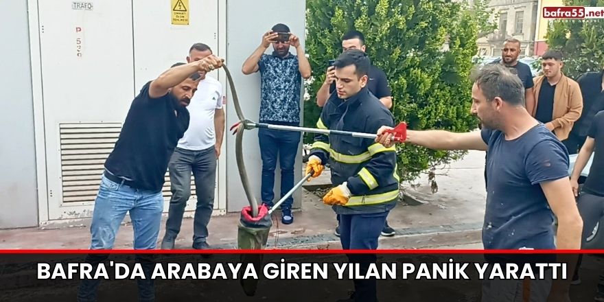 Vezirköprü'de ormanda çöp toplama etkinliği