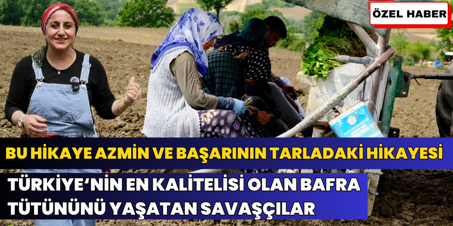 631. Alaçam Geyikkoşan Hıdırellez Şenlikleri ve Yağlı Pehlivan Güreşleri Canlı Yayın