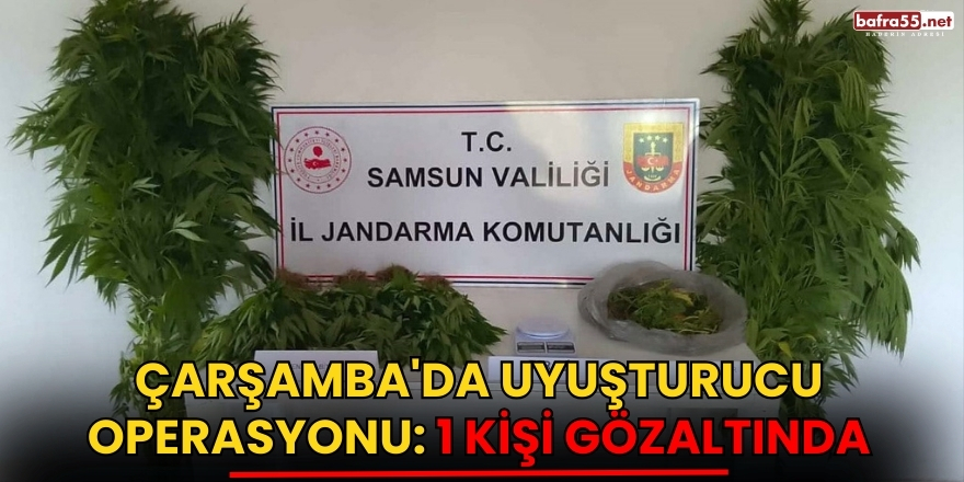 Şükrü Arslan Anneler Günü Mesajı