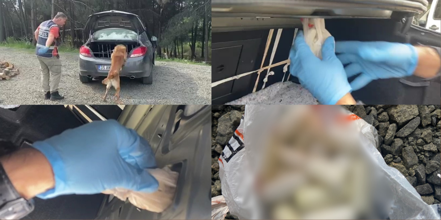 Samsun'da narkotik dedektör köpeği araçta uyuşturucu buldu: 12 gözaltı