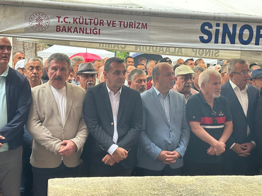 Bafra'da unutulan zeytincilik yeniden canlanıyor