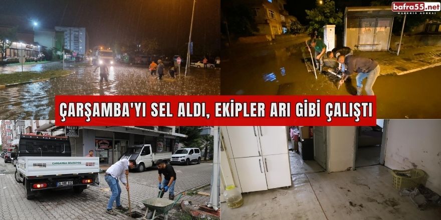 Türkiye'nin İlk Tek Dal Proje Fındık Çiftliği Bafra'da