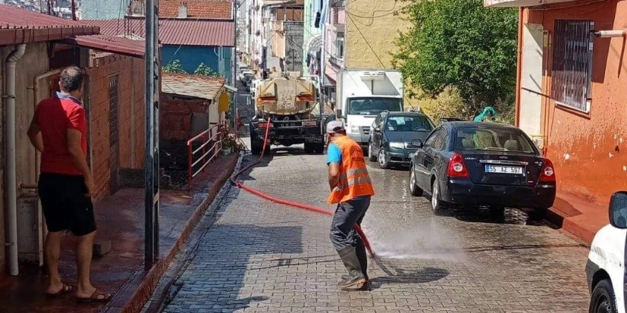 ALAÇAM DA SİVRİSİNEKLERE KARŞI DRONLA İLAÇLAMA YAPILACAK