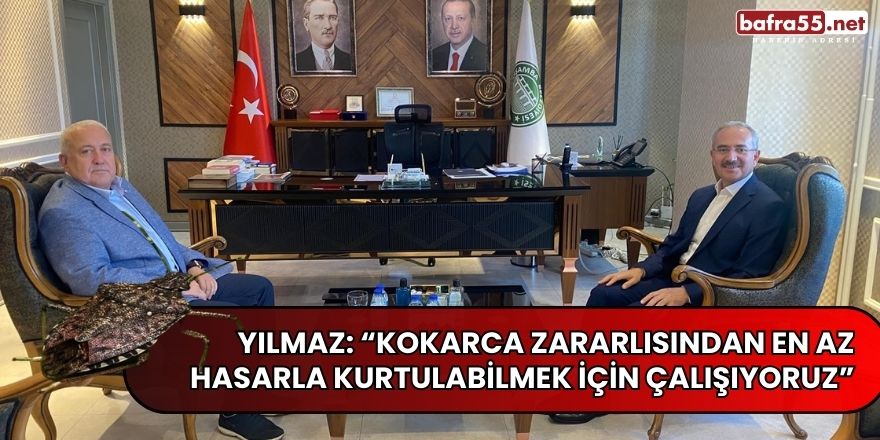 Yılmaz: “Kokarca zararlısından en az hasarla kurtulabilmek için çalışıyoruz”