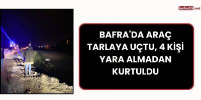 Bafra'da Araç Tarlaya Uçtu, 4 Kişi Yara Almadan Kurtuldu