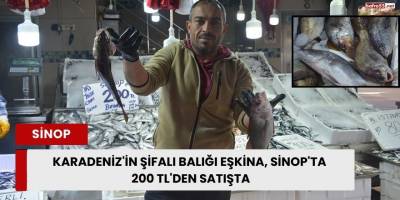 Karadeniz'in Şifalı Balığı Eşkina, Sinop'ta 200 TL'den Satışta