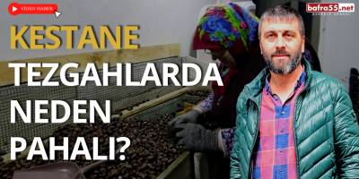 Karadeniz'in En Lezzetli Kestanesi Sinop'ta Yetişiyor