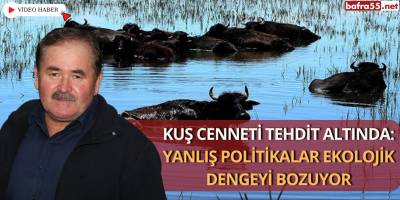 Kuş Cenneti Tehdit Altında: Yanlış Politikalar Ekolojik Dengeyi Bozuyor
