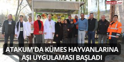 Atakum'da Kümes Hayvanlarına Aşı Uygulaması Başladı