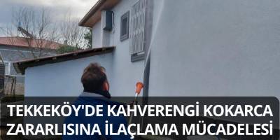 Tekkeköy'de Kahverengi Kokarca Zararlısına İlaçlama Mücadelesi