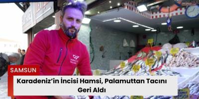 Karadeniz’in İncisi Hamsi, Palamuttan Tacını Geri Aldı