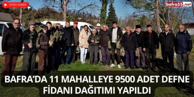Bafra’da 11 Mahalleye 9500 Adet Defne Fidanı Dağıtımı Yapıldı
