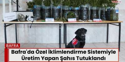 Bafra'da Özel İklimlendirme Sistemiyle Üretim Yapan Şahıs Tutuklandı