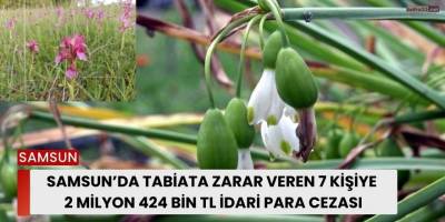 Samsun’da Tabiata Zarar Veren 7 Kişiye 2 Milyon 424 Bin TL İdari Para Cezası