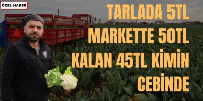 Tarlada 5TL Markette 50TL Kalan 45TL Kimin Cebinde
