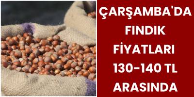 Çarşamba'da Fındık Fiyatları 130-140 TL Arasında