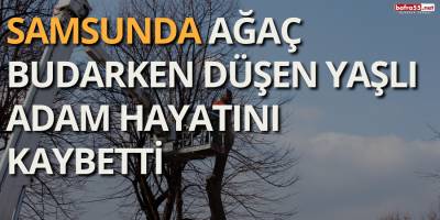 Samsunda Ağaç Budarken Düşen Yaşlı Adam Hayatını Kaybetti