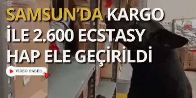 Samsun’da Kargo ile 2.600 Ecstasy Hap Ele Geçirildi