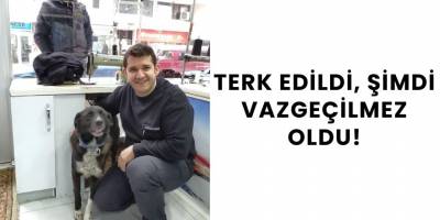Terk Edildi, Şimdi Vazgeçilmez Oldu!
