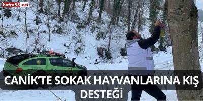 Canik’te Sokak Hayvanlarına Kış Desteği