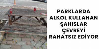 Parklarda Alkol Kullanan Şahıslar Çevreyi Rahatsız Ediyor