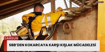 SBB’den kokarcaya karşı kışlak mücadelesi