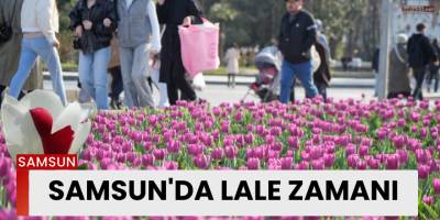 Samsun'da lale zamanı