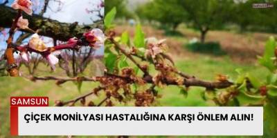 Çiçek Monilyası Hastalığına Karşı Önlem Alın!