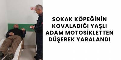 Sokak Köpeğinin Kovaladığı Yaşlı Adam Motosikletten Düşerek Yaralandı