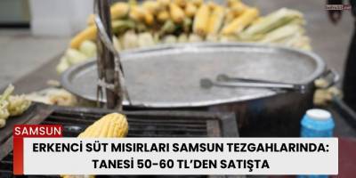 Erkenci Süt Mısırları Samsun Tezgahlarında: Tanesi 50-60 TL’den Satışta