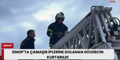 Sinop'ta çamaşır iplerine dolanan güvercin kurtarıldı