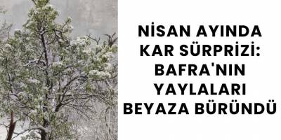 Nisan Ayında Kar Sürprizi: Bafra'nın Yaylaları Beyaza Büründü