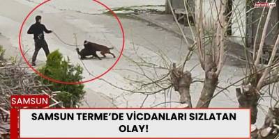 Terme’de Şok Olay: Köpeğini Sokak Köpeklerinin Üzerine Saldırttı!
