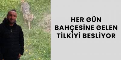 Her Gün Bahçesine Gelen Tilkiyi Besliyor