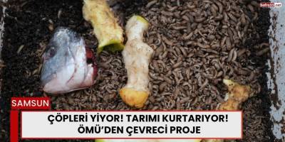 Çöpleri Yiyor, Tarımı Kurtarıyor! OMÜ'den Çevreci Proje