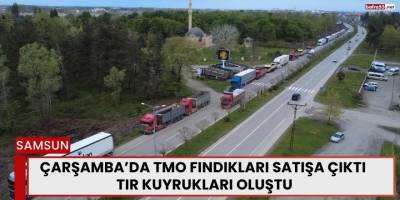 Çarşamba’da TMO Fındıkları Satışa Çıktı: Tır Kuyrukları Oluştu