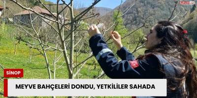 Meyve Bahçeleri Dondu, Yetkililer Sahada