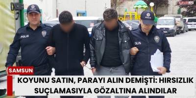 Koyunu Satın, Parayı Alın Demişti: Hırsızlık Suçlamasıyla Gözaltına Alındılar